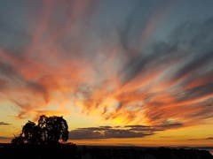 Der Himmel brennt. Aufnahme vom Rorschacherberg Richtung Westen, abends um 21.45 Uhr. (Bild: Bernhard Hauser)