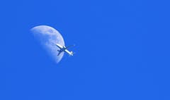 Reise zum Mond. (Bild: Alois Georg Aschwanden)