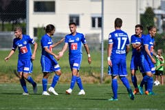 Dren Feka, Francisco Rodriguez, Daniel Follonier, Simon Grether, Oliver Custodio und Stefan Wolf (von links) jubeln nach dem Tor zum 2:1. (Bild: Martin Meienberger / Freshfocus (Luzern, 23. Juni 2018))