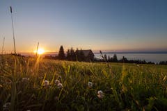 Traum- oder zauberhaft? Sonnenuntergang auf der Eggersrieter Höhe. (Bild: Franziska Ulmann)
