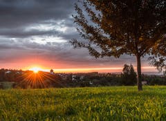 Wunderschöner Sonnenuntergang mit kräftigen Farben bei Berg SG. (Bild: Marc Bollhalder)