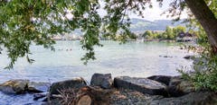 Goldacher Lido del Mare (Bild: Ruedi Hirtl)