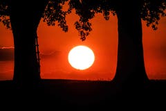 Glühende Sonne bei Gossau. (Bild: Luciano Pau)