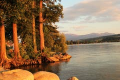 Die untergehende Sonne lässt die Bäume am See in Sempach leuchten. Bild: Irene Wanner