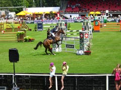 Sprungtalente am CSIO St. Gallen (Bild: Doris Sieber)