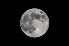 Vollmond. (Bild: Roman Willi)