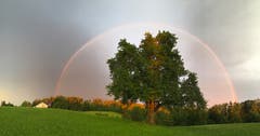 Schönheit trotz Gewitter in Jonschwil (Bild: Rina Thoma)