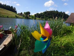 Am Rotsee. (Bild: Josef Müller)