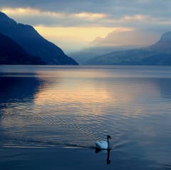 Morgendämmerung am Vierwaldstättersee am Seeplätzli Ennetbürgen. (Bild: Sepp Bernasconi)