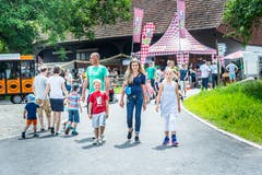 Arenenberg TG - Arenenberger Tag. Marktstände mit einer Vielzahl regionalem Käse. Tag der offenen Tür.