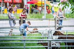 Arenenberg TG - Arenenberger Tag. Marktstände mit einer Vielzahl regionalem Käse. Tag der offenen Tür.