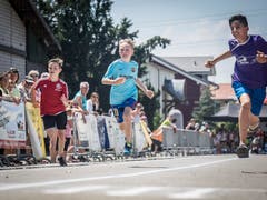 (Bild: Hanspeter Schiess)