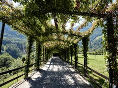 Der Zugang zum Jugendstilhaus Paxmontana auf dem Flüeli. (Bild: Margrith Imhof-Röthlin (Flüeli, 26. Juni 2018)