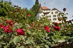 Ein Besuch im Rosengarten des Schlosses Heidegg. Bild: Patric Ostertag