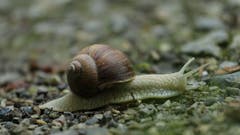 ... nur mit der Ruhe... (Bild: Irene Wanner)