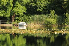 Am Steinibühlweiher. (Bild: Irene Wanner)