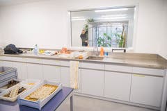 Die Räume der Wildvogelpflegestation im Naturmuseum St.Gallen. (Bild: Claudio Heller - 30. Januar 2017)
