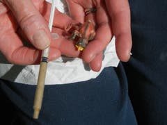 Eine kleine Blaumeise. Die Aufzucht so kleiner verlassener Nestlinge ist aufwendig und auch nicht immer von Erfolg gekrönt. (Bild: Voliere-Gesellschaft St.Gallen - 9. Mai 2012)