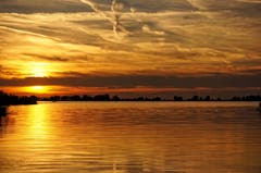 Ein Sonnenuntergang wie flüssiges Gold im Rheindelta (Bild: Toni Sieber)