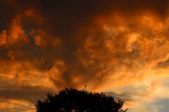 Sonnenuntergang oder Baumbrand? (Bild: Rudolf Strebel-Böll)