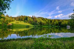 Friedliche Stimmung am Wenigerweiher in St. Gallen. (Bild: Luciano Pau)