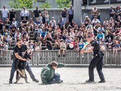 (Bild: Hanspeter Schiess)
