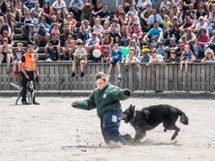 (Bild: Hanspeter Schiess)