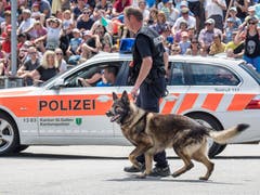 (Bild: Hanspeter Schiess)