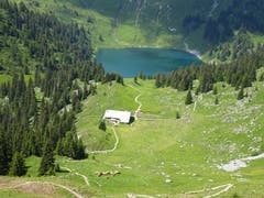 Oberstockenalp und Oberstockensee im Stockhorngebiet. (Bild: Walter von Holzen)