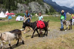Unterwegs mit den Ziegen in der Göscheneralp. (Bild: Markus Zwyssig, 7. Juli 2018)