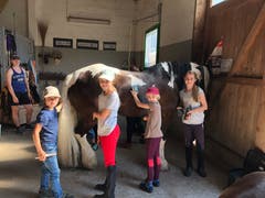 Teilnehmer des Reitlagers Hanny-Fee in Lifelen reinigen ein Pony. (Bild: Hanny Odermatt)