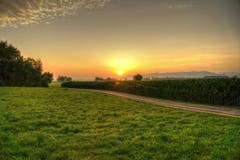 Sonnenaufgang im Rheindelta. (Bild: Toni Sieber)