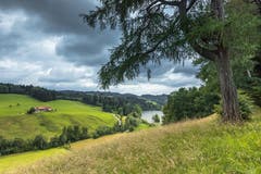 Vor dem Regen - Blick auf den Wenigerweiher, St. Gallen. (Bild: Christian Wild)