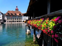 Sommer in Luzern. (Bild: Walter Buholzer)