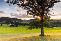Sonnenuntergang in Kirchberg - Aufnahme der Sonne als Blendenstern (Bild: Marc Bollhalder)