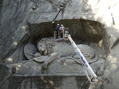 Inspektion des Löwen. (Bild: Josef Müller)