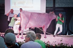Jasmin Küchler (rechts) aus Obwalden hievt eine Brown Swiss zur Auktion auf die Bühne. (Bild: Ralph Ribi)