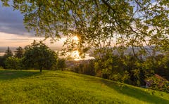 Abendstimmung auf dem Zugerberg. (Bild: Daniel Hegglin)