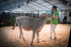 Sabrina Krebs präsentierte auch dieses Jahr Verkaufsangebote. (Bild: Ralph Ribi)