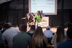 Sabrina Krebs präsentierte auch dieses Jahr Verkaufsangebote. (Bild: Ralph Ribi)