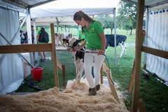 Jasmin Küchler reiste aus Obwalden an, um bei der Tierbetreuung und Präsentation mitzuhelfen. (Bild: Ralph Ribi)