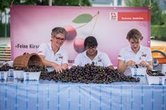 Die Helferinnen sortieren die feinen Chriesi. (Bild: Reto Martin)