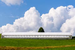 Treibhaus vor Kumuluswolken in Degersheim. (Bild: Victor Schönenberger)