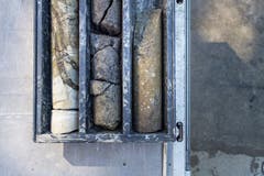 Dort werden schliesslich Proben entnommen, auf die Anja Pestalozzi ihre wissenschaftlichen Auswertungen stützen kann. (Bild: Michel Canonica)