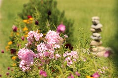 Im Sommergarten. (Irene Wanner, Schötz, 17. Juli 2018)