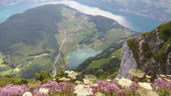 Blick vom Niederbauen über Seelisbergseeli zum Vierwaldstättersee. (Bild: Erich Ottiger, Niederbauen Chulm, 14. Juli 2018)