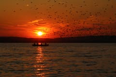 Zum Geniessen schön: Der Sonnenuntergang auf dem Sempachersee. (Bild: Irene Wanner, Sempach, 16. Juli 2018)