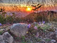 Sonnenaufgang auf dem Wildspitz. (Bild: Silke Schmidt)