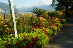 Kilometerweite Blumenpracht am Quai in Montreux. (Bild: Josef Müller)