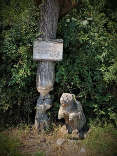 Wo denn sonst als am Bibersee, kann man im Kanton Zug einen hölzernen Biber seh`n ? (Bild: Margrith Imhof-Röthlin)